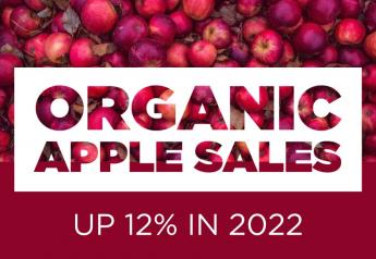 Organic apple sales up 12% in 2022