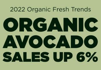 Organic avocado sales up 6%