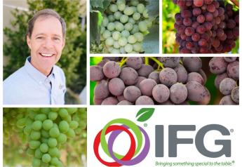 Q&A with Andy Higgins, CEO of International Fruit Genetics