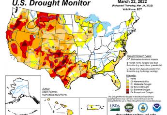Winter wheat drought shows improvement