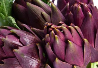 Younger, higher-income consumers in the West are most frequent fresh artichoke buyers