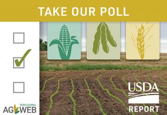 Take Our Poll: USDA's Prospective Plantings Estimates