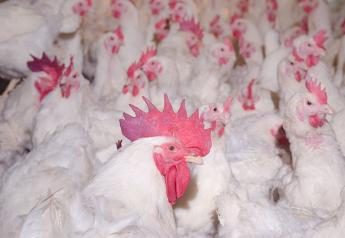 First Human Case of Avian Flu in the U.S. Confirmed in Colorado