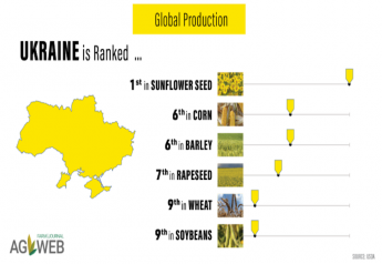 Ukraine Makes a Lot of Grain: Now What?