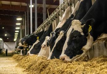 The Equation to Last in This Tough Dairy Economy
