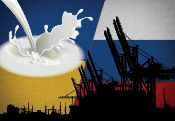 Ukraine’s Dairy Sector Still Devastated by Russian Invasion