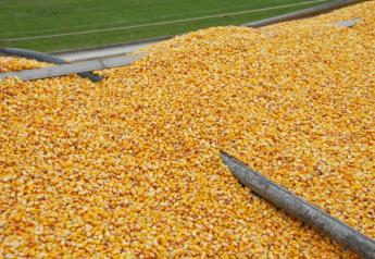 USDA Projects Smaller Ending U.S. Corn Stocks for 2022-23, Higher Soybean Supplies 