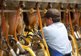 What is the Current Grade of Dairy Conditions in 2023?