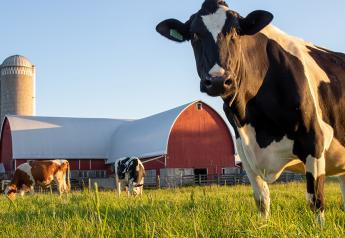 USDA Publishes Origin of Livestock Final Rule for Organic Dairy