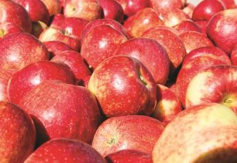 Fresh apple inventories up slightly on April 1
