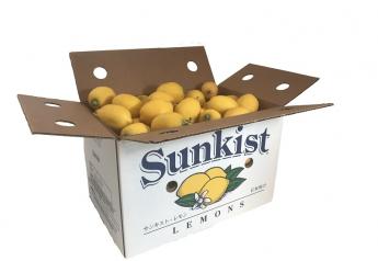 Sunkist boasts good volume of lemons as demand heats up