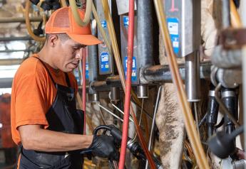 Inmates Help Fill Labor Vacancies at Arizona Dairy