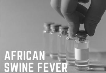 African Swine Fever Vaccine Candidate Passes Important Safety Test