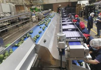 West Pak adds capacity for Apeel treated avocados