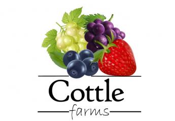 Sponsored: Cottle Farms… your next Produce Partner!