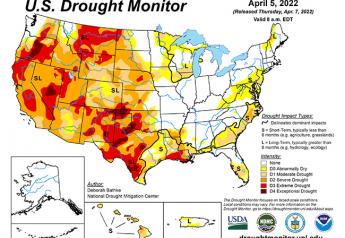 Winter wheat drought area remains unchanged