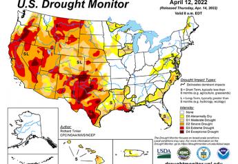 Crops in drought remain steady