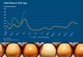 Avian Flu Pressures Easter Egg Supply and Price