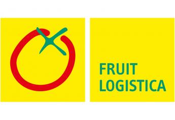 Fruit Logistica Expo booth updates
