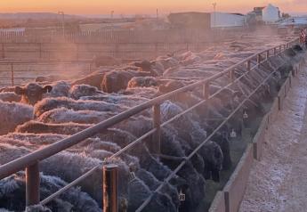 Senate Ag Committee Reviews Cattle Market Legislative Proposals