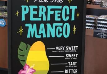 Mangoes thrive at retail in spring, summer