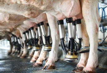 Decline in U.S. Dairy Herd Numbers Slows