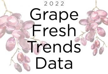 Grapes are third most popular fruit among consumers