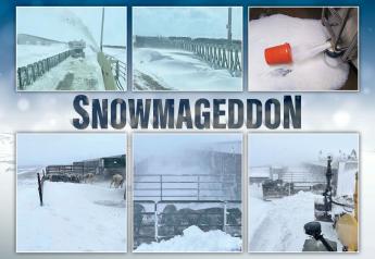 Snowmageddon Dumps Massive Snow and Headaches on North Dakota Dairy Farmers