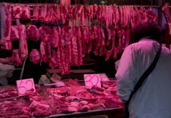 China's Q2 Pork Output Highest for the Period in at Least a Decade