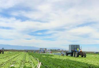 Salinas Valley growers face COVID-related challenges and more