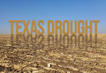 Crucial Rains Finally Drenched Portions of Texas, Is It Enough to Save the State's Crops and Cattle? 