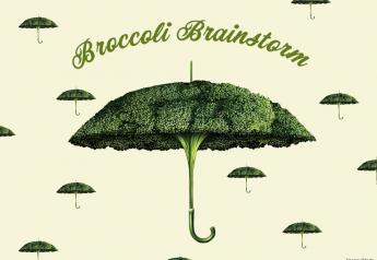 Broccoli brainstorm: It's raining broccoli statistics over here