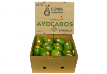 Brooks Tropicals sees favorable growing season, expected volume increase for Florida avocados