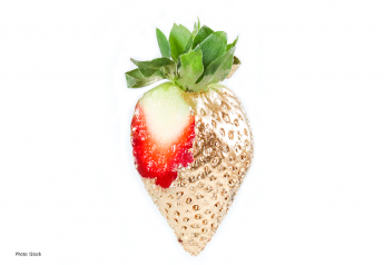 Oishii opens NJ vertical farm, slashes price for Omakase — the ‘Tesla of berries’