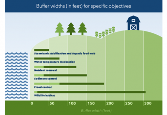 Protect Your Land with a Streamside Buffer