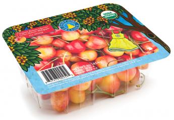 The cherry challenge: Organic gaining traction, but many consumers still put off by price point