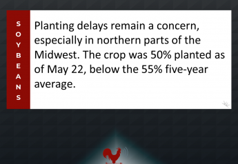 Soybean Planting Delays Concerning