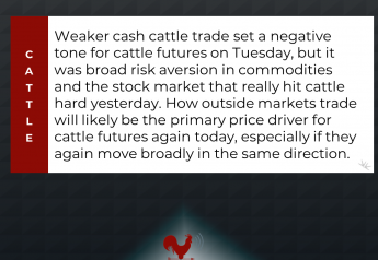 Cattle Hammered by Broad Selloff