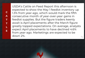 April Placements Key in Cattle on Feed Report