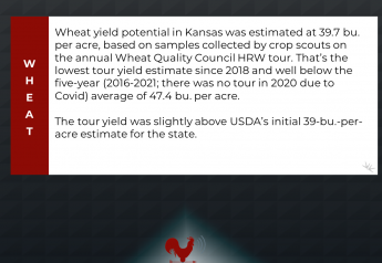 Wheat Tour: Sharply Reduced HRW Yield Potential