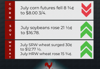 Soybeans Reach Highest Closing Price Since April 29