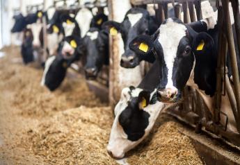 U.S. Dairy Cows Continue to Push Inland