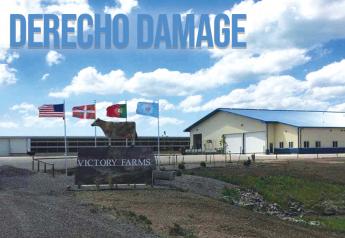 Derecho Damage Forces Dairy Farmer to Relocate 1,700 Cows Overnight – A Not-So-Easy Feat