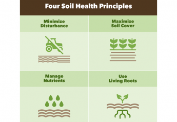 3 Steps to Healthy Soil