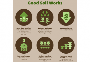 Good Soil Goes a Long Way