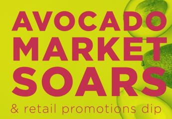 Retail promotions dip with high-flying avocado market but relief coming
