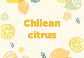 Chilean citrus volume down 12% in 2022