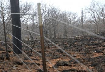 Texas Wildfire Losses $23.1 Million in Preliminary Estimates