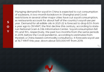 Covid Lockdowns Cut China’s Soyoil Use