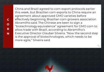 Brazil Corn Exports to China Will Require ‘biotechnology equivalence’ Agreement